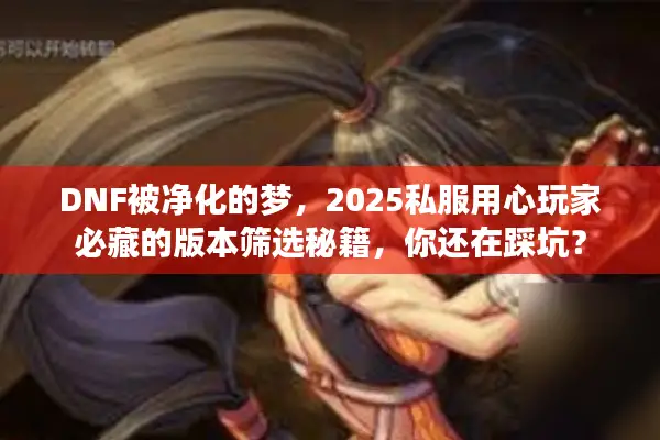 DNF被净化的梦，2025私服用心玩家必藏的版本筛选秘籍，你还在踩坑？