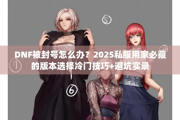 DNF被封号怎么办？2025私服用家必藏的版本选择冷门技巧+避坑实录