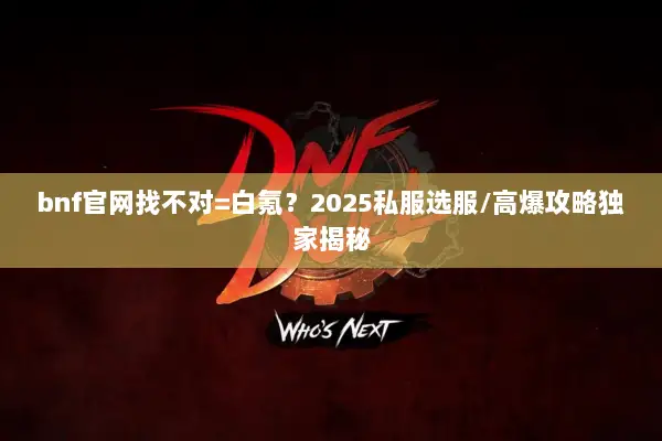 bnf官网找不对=白氪？2025私服选服/高爆攻略独家揭秘
