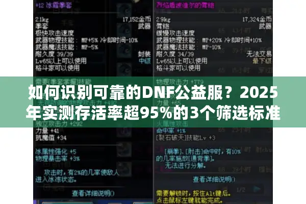 如何识别可靠的DNF公益服？2025年实测存活率超95%的3个筛选标准