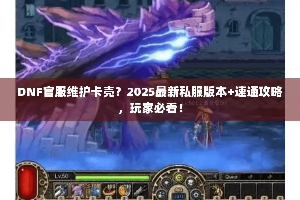 DNF官服维护卡壳？2025最新私服版本+速通攻略，玩家必看！