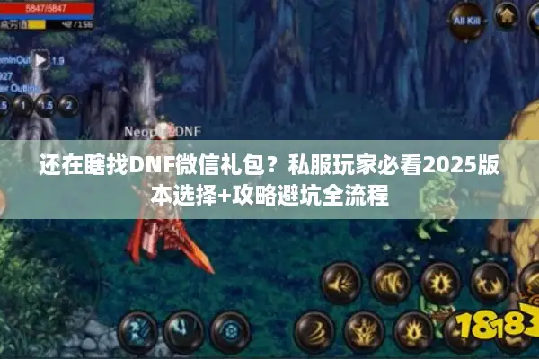 还在瞎找DNF微信礼包？私服玩家必看2025版本选择+攻略避坑全流程