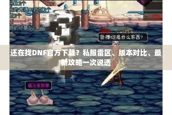 还在找DNF官方下载？私服雷区、版本对比、最新攻略一次说透