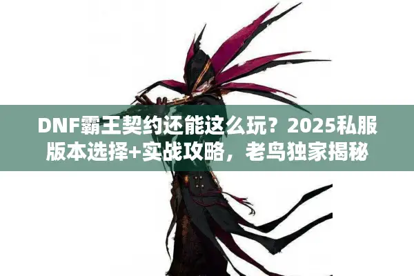 DNF霸王契约还能这么玩？2025私服版本选择+实战攻略，老鸟独家揭秘