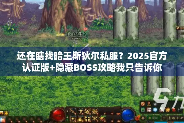 还在瞎找暗王斯狄尔私服？2025官方认证版+隐藏BOSS攻略我只告诉你