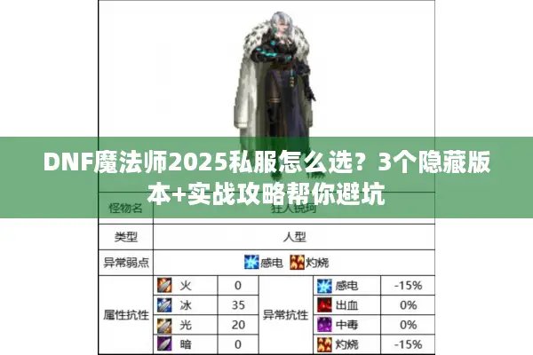 DNF魔法师2025私服怎么选？3个隐藏版本+实战攻略帮你避坑