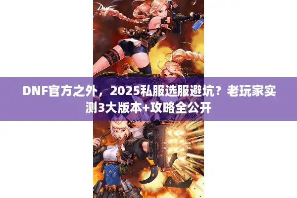 DNF官方之外，2025私服选服避坑？老玩家实测3大版本+攻略全公开