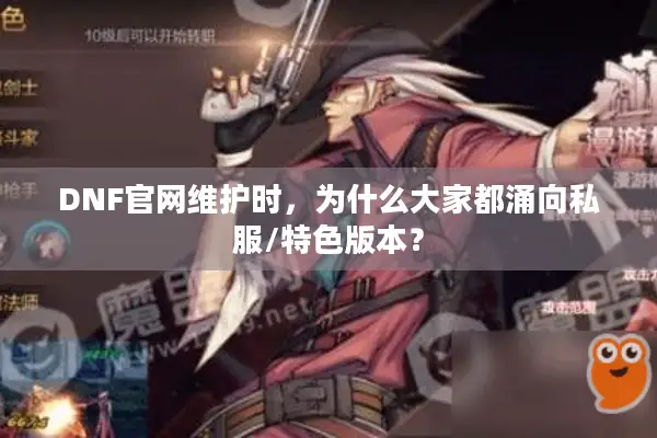 DNF官网维护时，为什么大家都涌向私服/特色版本？