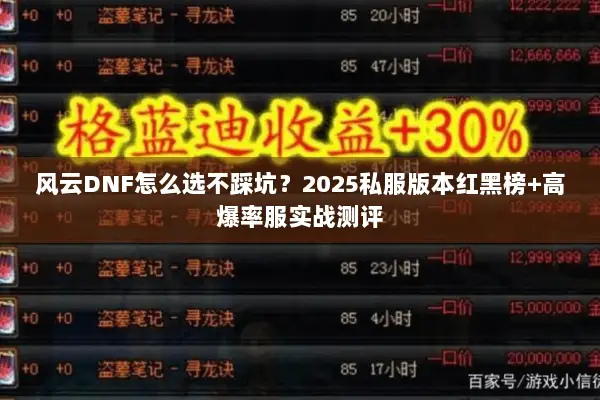 风云DNF怎么选不踩坑？2025私服版本红黑榜+高爆率服实战测评