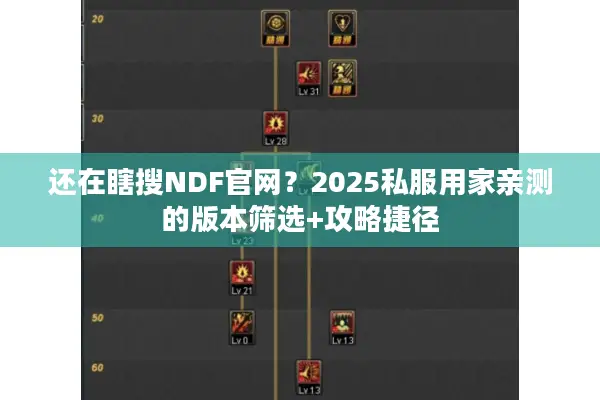 还在瞎搜NDF官网？2025私服用家亲测的版本筛选+攻略捷径