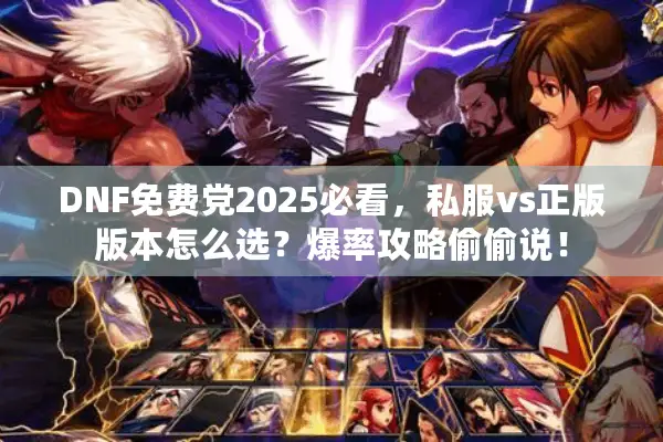 DNF免费党2025必看，私服vs正版版本怎么选？爆率攻略偷偷说！