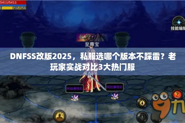 DNFSS改版2025，私服选哪个版本不踩雷？老玩家实战对比3大热门服