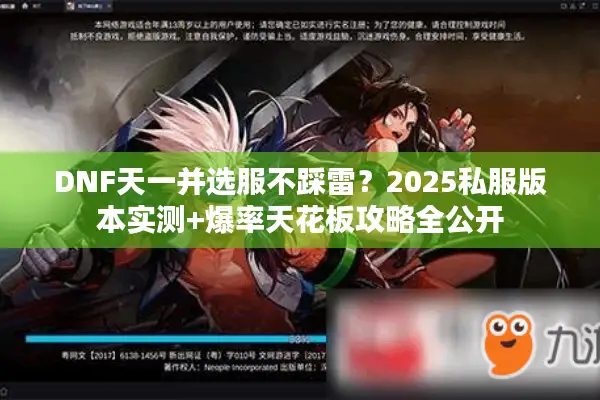 DNF天一并选服不踩雷？2025私服版本实测+爆率天花板攻略全公开