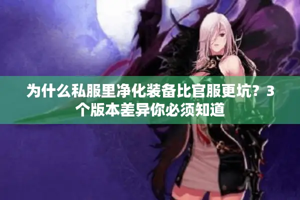为什么私服里净化装备比官服更坑？3个版本差异你必须知道
