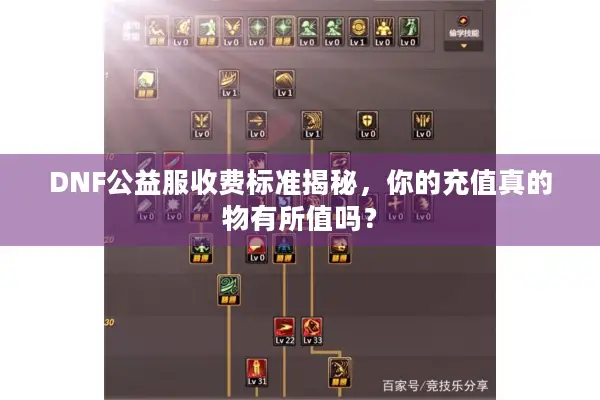 DNF公益服收费标准揭秘，你的充值真的物有所值吗？