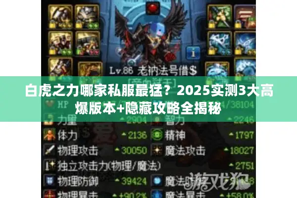 白虎之力哪家私服最猛？2025实测3大高爆版本+隐藏攻略全揭秘