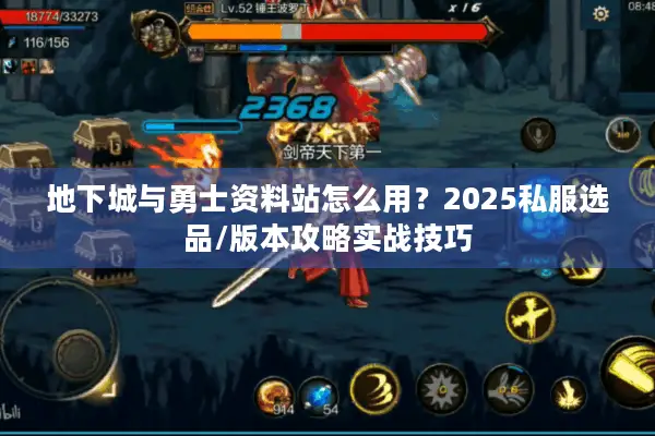 地下城与勇士资料站怎么用？2025私服选品/版本攻略实战技巧
