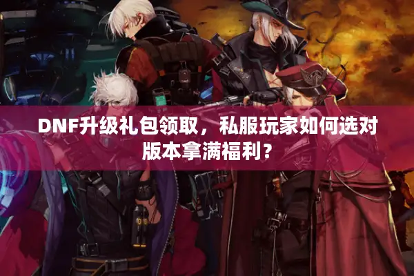 DNF升级礼包领取，私服玩家如何选对版本拿满福利？