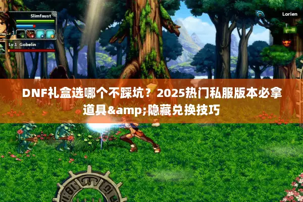 DNF礼盒选哪个不踩坑？2025热门私服版本必拿道具&隐藏兑换技巧