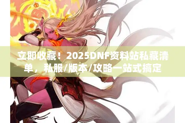 立即收藏！2025DNF资料站私藏清单，私服/版本/攻略一站式搞定