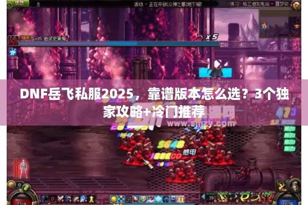 DNF岳飞私服2025，靠谱版本怎么选？3个独家攻略+冷门推荐