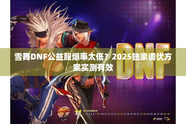 雪舞DNF公益服爆率太低？2025独家调优方案实测有效