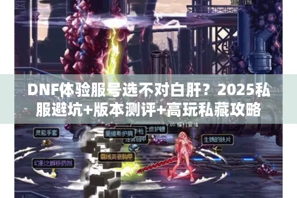 DNF体验服号选不对白肝？2025私服避坑+版本测评+高玩私藏攻略