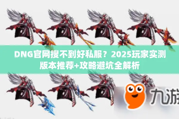 DNG官网搜不到好私服？2025玩家实测版本推荐+攻略避坑全解析
