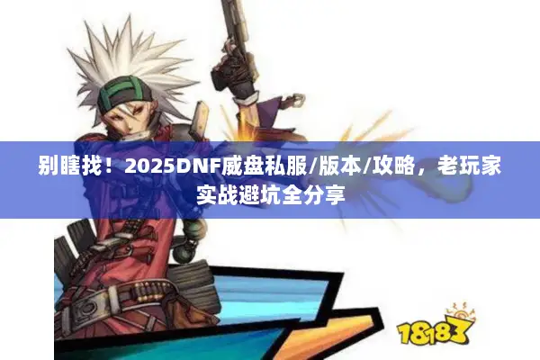别瞎找！2025DNF威盘私服/版本/攻略，老玩家实战避坑全分享