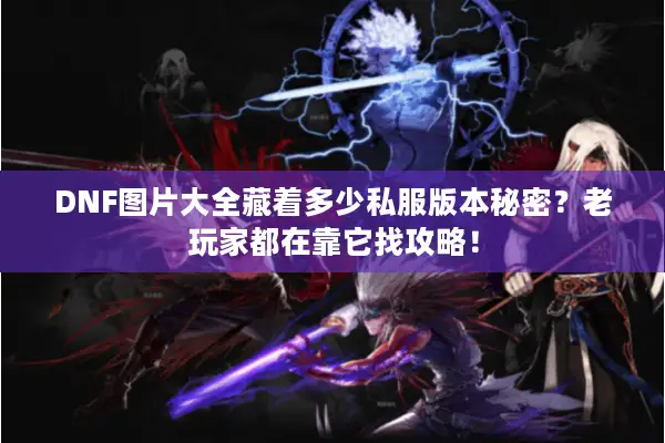 DNF图片大全藏着多少私服版本秘密？老玩家都在靠它找攻略！