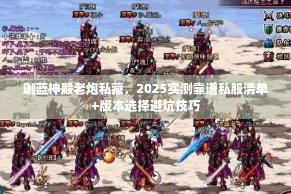 珈蓝神殿老炮私藏，2025实测靠谱私服清单+版本选择避坑技巧