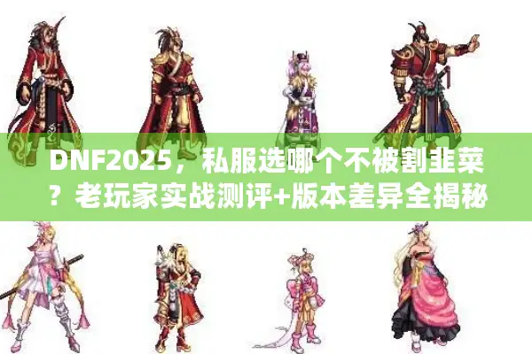 DNF2025，私服选哪个不被割韭菜？老玩家实战测评+版本差异全揭秘