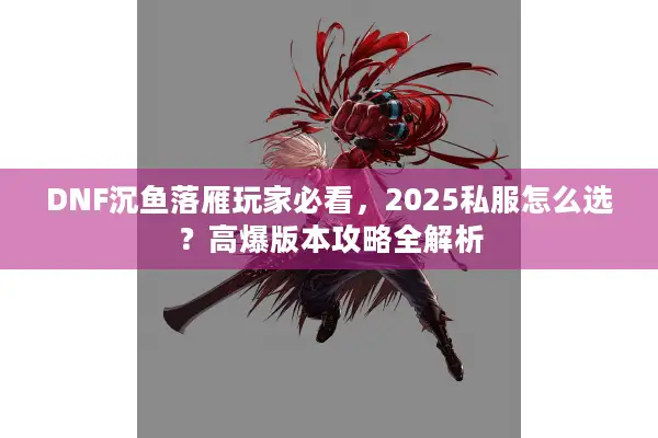 DNF沉鱼落雁玩家必看，2025私服怎么选？高爆版本攻略全解析