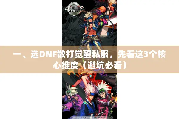 一、选DNF散打觉醒私服，先看这3个核心维度（避坑必看）