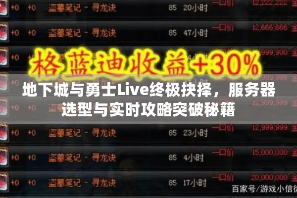 地下城与勇士Live终极抉择，服务器选型与实时攻略突破秘籍