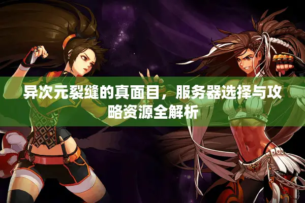 异次元裂缝的真面目，服务器选择与攻略资源全解析