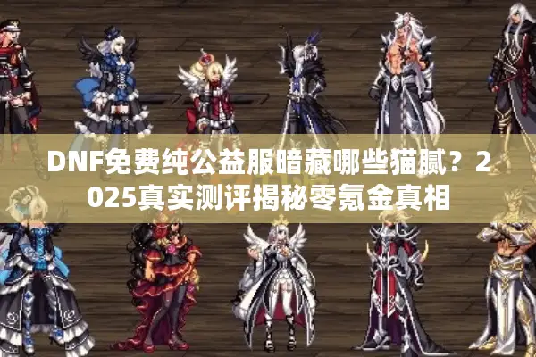 DNF免费纯公益服暗藏哪些猫腻？2025真实测评揭秘零氪金真相