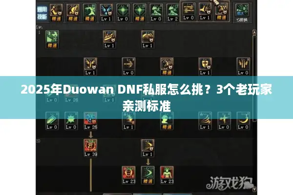 2025年Duowan DNF私服怎么挑？3个老玩家亲测标准