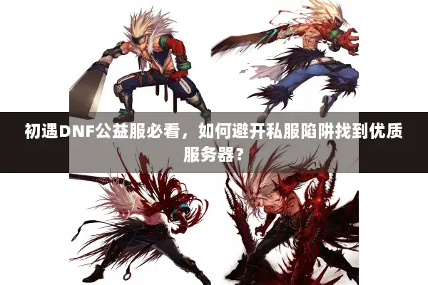 初遇DNF公益服必看，如何避开私服陷阱找到优质服务器？