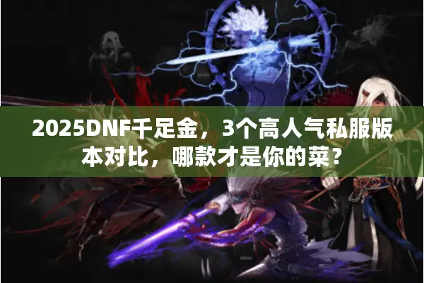 2025DNF千足金，3个高人气私服版本对比，哪款才是你的菜？