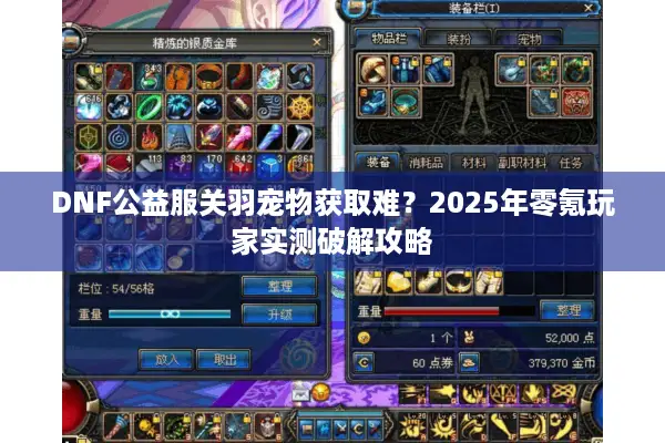 DNF公益服关羽宠物获取难？2025年零氪玩家实测破解攻略