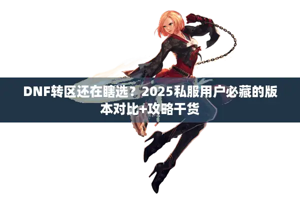 DNF转区还在瞎选？2025私服用户必藏的版本对比+攻略干货