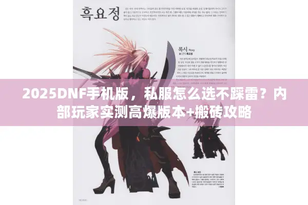 2025DNF手机版，私服怎么选不踩雷？内部玩家实测高爆版本+搬砖攻略