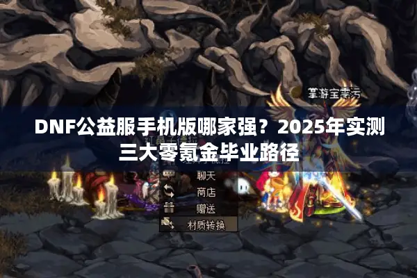 DNF公益服手机版哪家强？2025年实测三大零氪金毕业路径