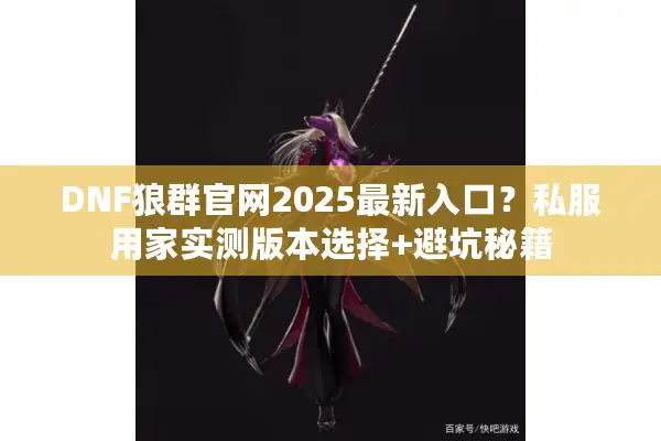 DNF狼群官网2025最新入口？私服用家实测版本选择+避坑秘籍