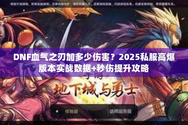 DNF血气之刃加多少伤害？2025私服高爆版本实战数据+秒伤提升攻略