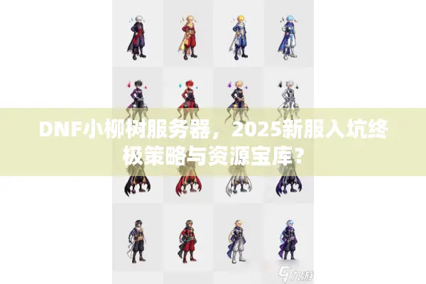 DNF小柳树服务器，2025新服入坑终极策略与资源宝库？