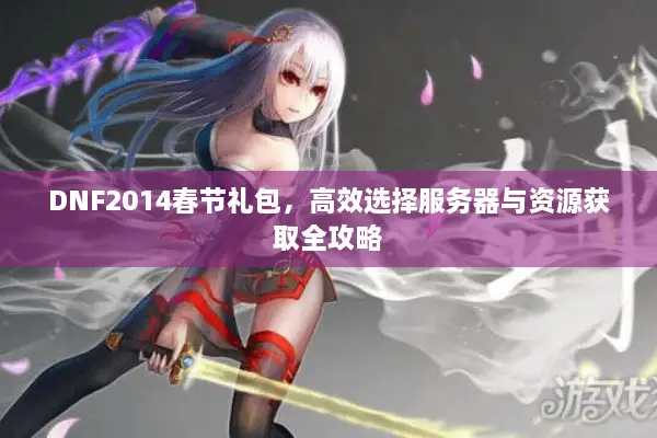 DNF2014春节礼包，高效选择服务器与资源获取全攻略