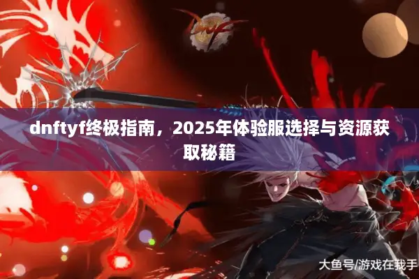 dnftyf终极指南，2025年体验服选择与资源获取秘籍