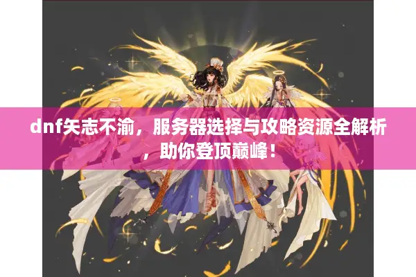 dnf矢志不渝，服务器选择与攻略资源全解析，助你登顶巅峰！